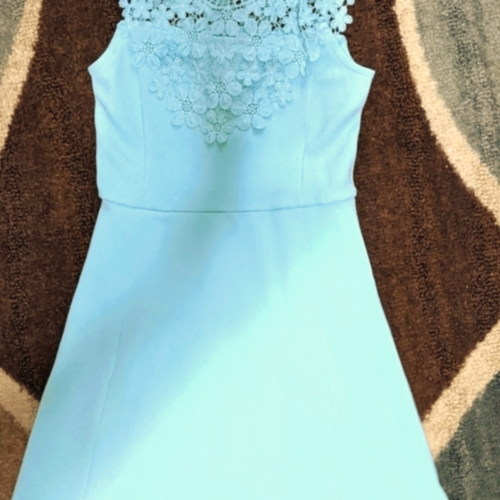 The Children's Place Light Blue Floral Lace Neckline Dress